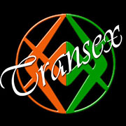www.transexcampobasso.it